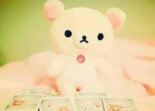 過(guò)節(jié)古詩(shī)句引用文章