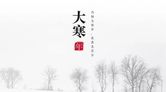 關(guān)于大寒的詩句加作者介紹