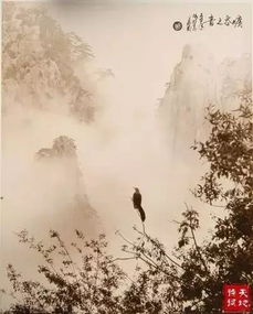 想要更專業(yè)的古詩(shī)句