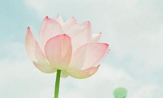 關(guān)于交友友情的詩(shī)句名言或警句