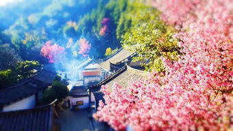 帶有人的古詩句,寫出帶月的古詩句,兩句帶月的古詩句