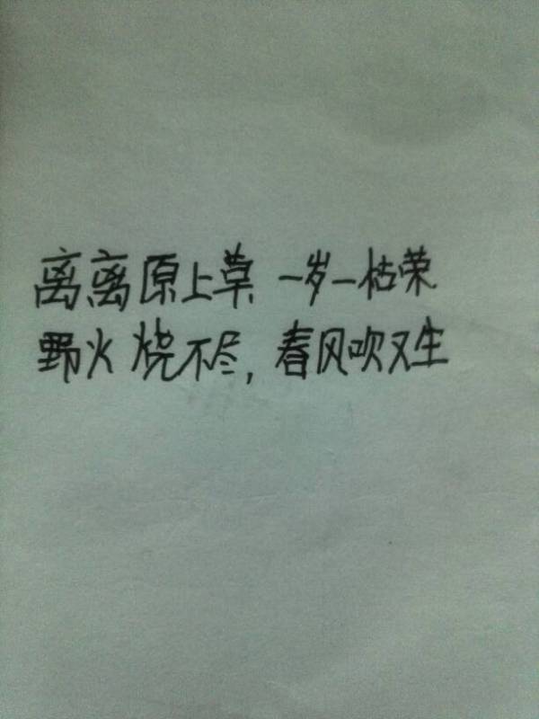 有關于堅強的詩句