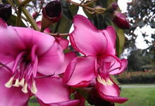 心情愉悅的詩句古詩