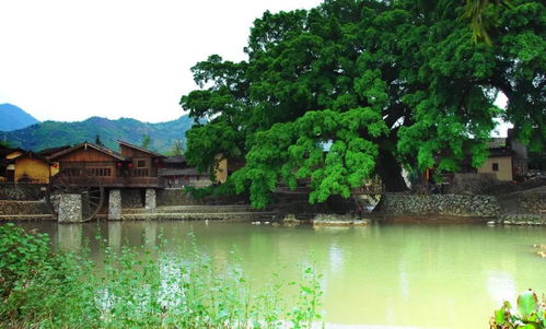 海邊漫步古詩(shī)句