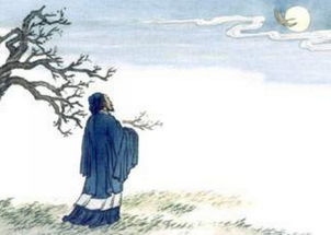 月夜憶舍弟古詩(shī)句