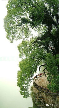 體現(xiàn)大自然的美的詩(shī)句,贊嘆大自然美的詩(shī)句,說大自然美的詩(shī)句