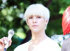 關(guān)于少白發(fā)的詩句