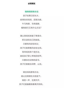 有關(guān)教學(xué)總結(jié)的古詩(shī)句