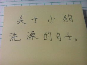 描寫沐浴后的古詩句