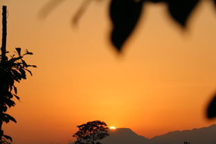 關(guān)于落日與校園的詩(shī)句