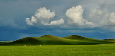 詩句,草原,相關(guān)