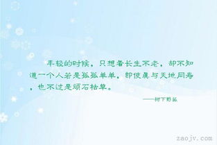 關(guān)于輕時光的詩句