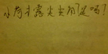 包含蓮的古詩句