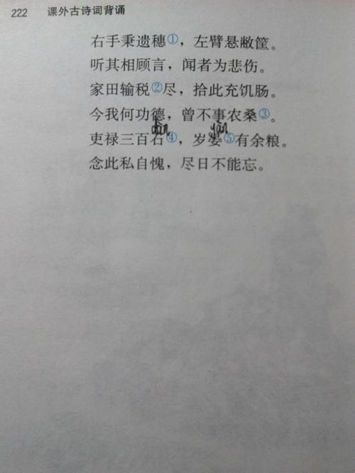 古詩(shī)中抒寫鄉(xiāng)情的詩(shī)句