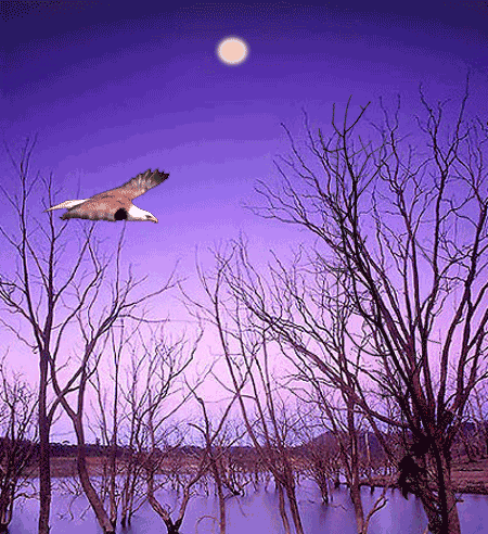 關(guān)于有上進(jìn)心的詩句