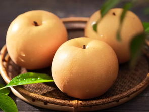 關(guān)于秋月梨的詩(shī)句