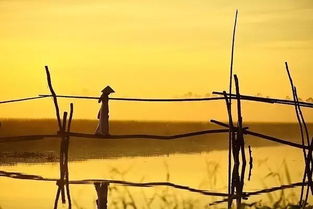 寫一首關(guān)于父親的詩句