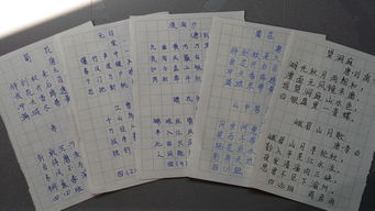 四級古詩句默寫