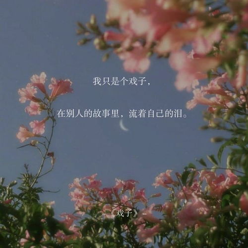 席慕蓉愛情詩(shī)句,關(guān)于詩(shī)和遠(yuǎn)方的詩(shī)句席慕蓉,故宮雪景的詩(shī)句席慕蓉