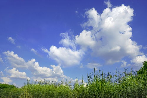 關(guān)于藍(lán)天和白云的的詩句子