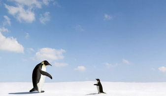 不體會(huì)不知道辛苦的詩(shī)句,不做媽媽不知道媽媽的辛苦,不知道別人辛苦的詩(shī)句