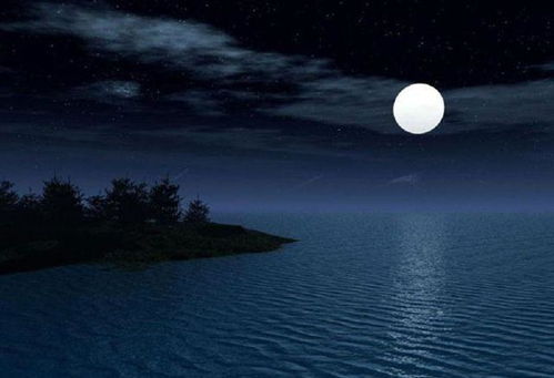 寫一個(gè)關(guān)于月夜的詩(shī)句