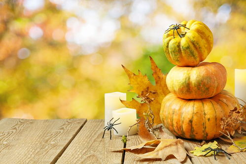 描寫秋天樹木的詩句古詩詞