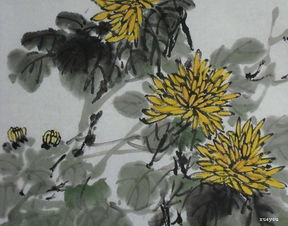 古詩(shī)詞中寫(xiě)菊花的詩(shī)句