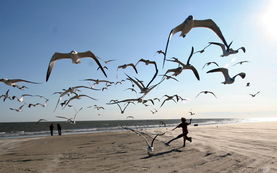 關(guān)于生命的意義詩句