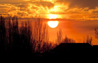 描寫日月的詩句古詩大全