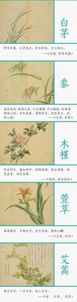 詩經(jīng)中關(guān)于描寫水草的詩句
