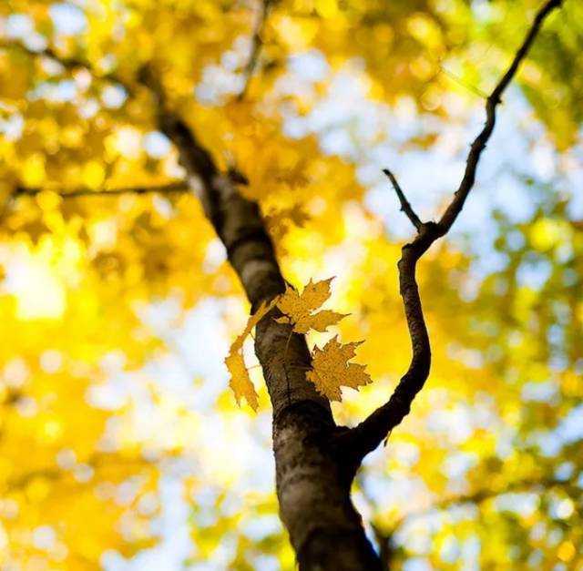 有關(guān)霧靄的古詩句