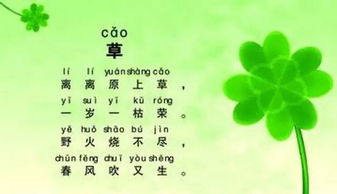 關(guān)于春天小草的詩句古詩,描寫春天小草的詩句古詩,贊美春天小草的詩句古詩