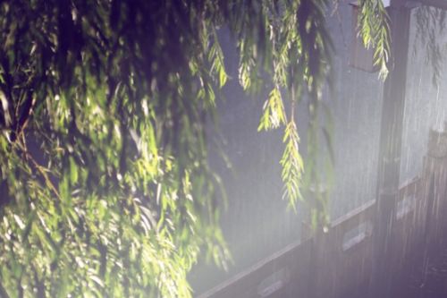 雨夜聽(tīng)雨唯美古詩(shī)句