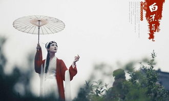 古人關(guān)于描寫(xiě)自己偶像的詩(shī)句