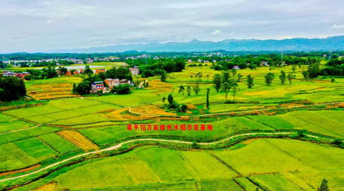 自己編一首關(guān)于田園風(fēng)光的詩(shī)句