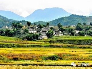 關(guān)于田野秋色的詩句