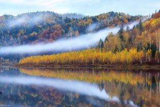 關(guān)于小興安嶺的詩句