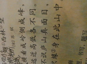 關(guān)于古代詩句和意思是什么意思是什么
