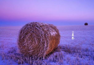 描寫冬天節(jié)氣的詩句古詩大全