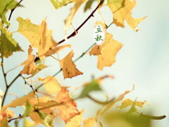 關(guān)于立秋微信詩(shī)句