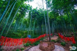 鄉(xiāng)間,竹子,詩句,田園