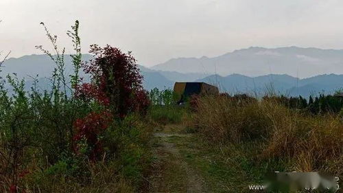 描寫(xiě)春天田園風(fēng)光的詩(shī)句,贊美春天田園風(fēng)光的詩(shī)句,描寫(xiě)春天農(nóng)村田園風(fēng)光的詩(shī)句