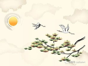 月圓詩(shī)句古詩(shī)