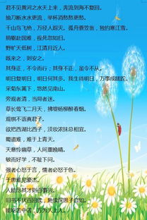 山河,詩(shī)句,祖國(guó),小學(xué)