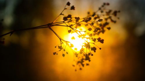 形容內(nèi)心安寧的古詩句,形容釋然放下的古詩句,形容內(nèi)心強大的古詩句