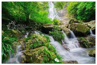 古詩(shī)詞有如桃花源詩(shī)句