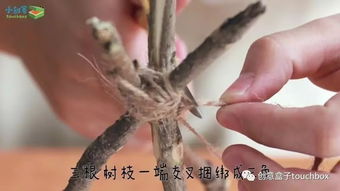 關(guān)于燈籠的簡短詩句