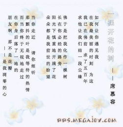 席慕蓉關(guān)于花的詩(shī)句