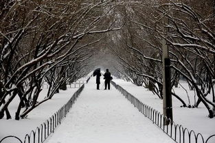 關(guān)于雪的詩(shī)句意境不同